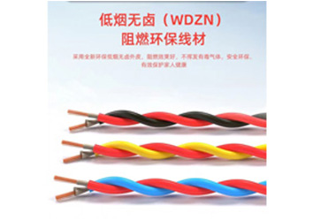 WDZN-RYJS 型号：(2芯) 0.75mm²²～4mm²²
