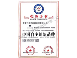 中国自主创新品牌